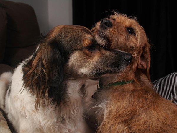 Is It Possible to Add a Power Adjustable Driver"s Seat to Your 2012 Honda Accord?